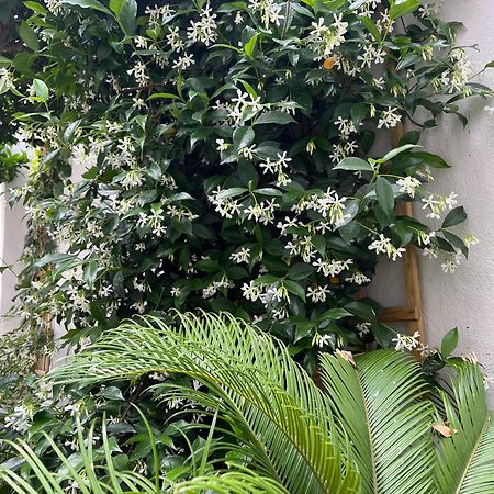 Ferienwohnung Maria'S Jasmine Volos Exterior foto